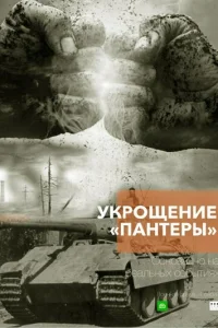 Укрощение «Пантеры» онлайн